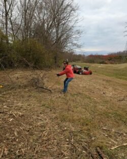 257941954221548 1502776564748538 2 250