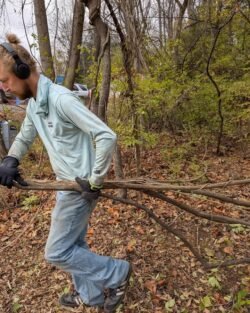 257941954221548 1502776564748538 3 250