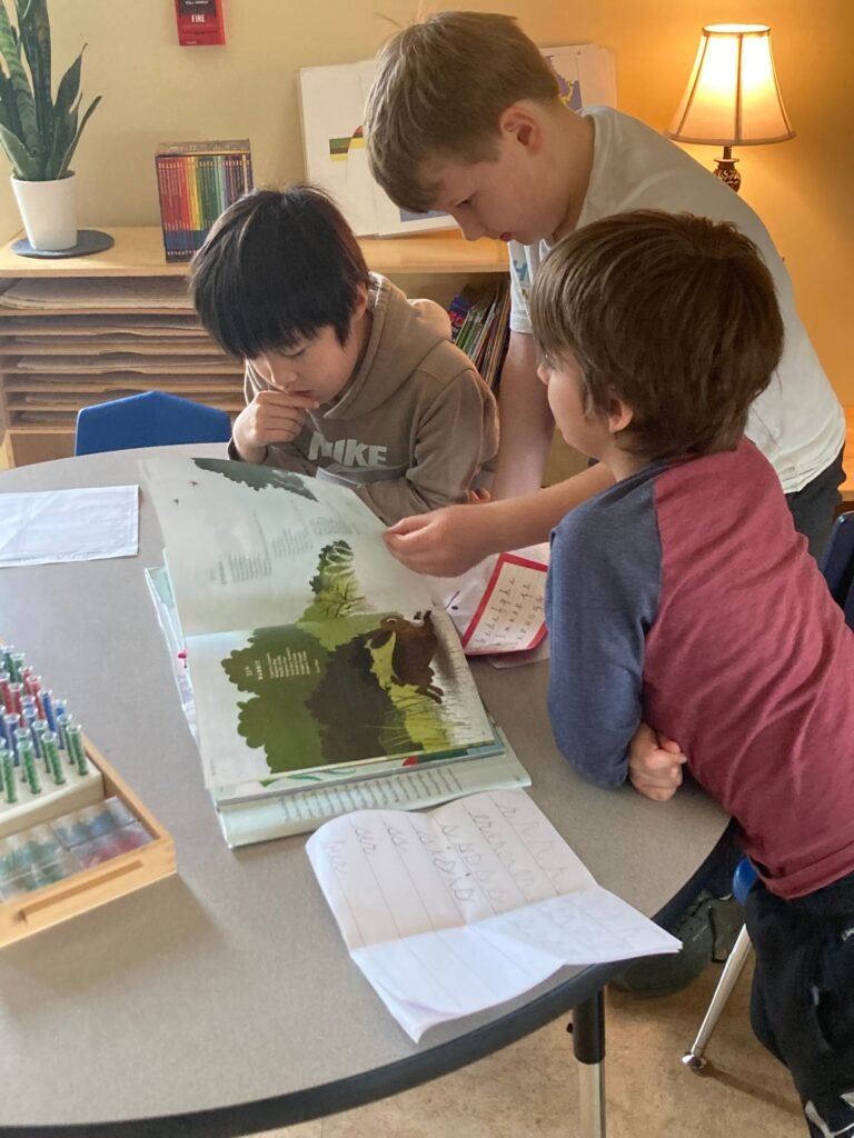 Community Montessori School in Lexington KY 768x1024