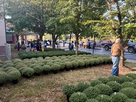 Metro Christian Academy in Goodlettsville TN 1