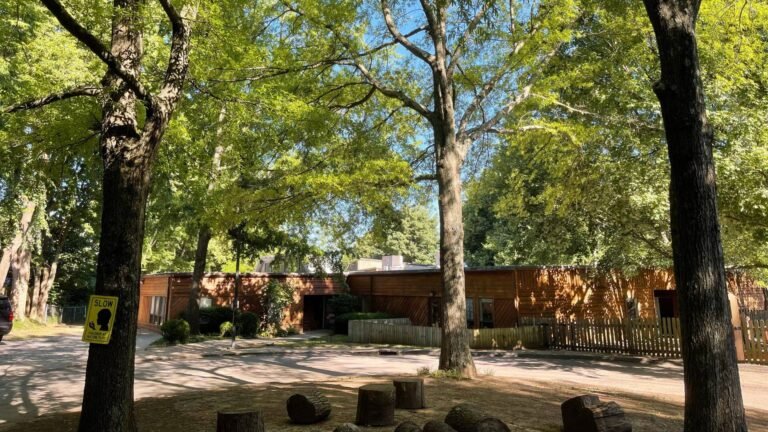 Redwood Cooperative School in Lexington KY 768x432