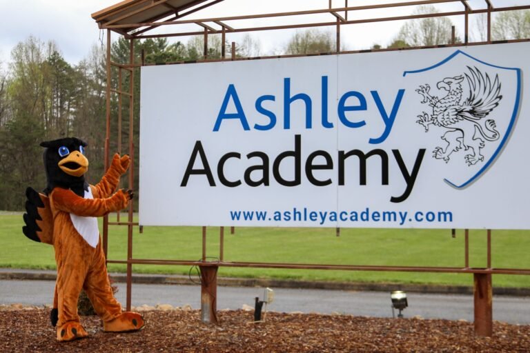 ashley academy slide 768x512